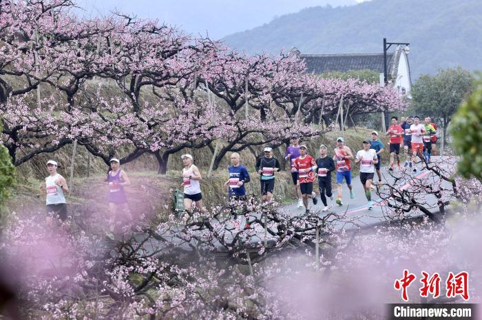 2023奉化海峡两岸桃花马拉松在宁波奉化开跑，全