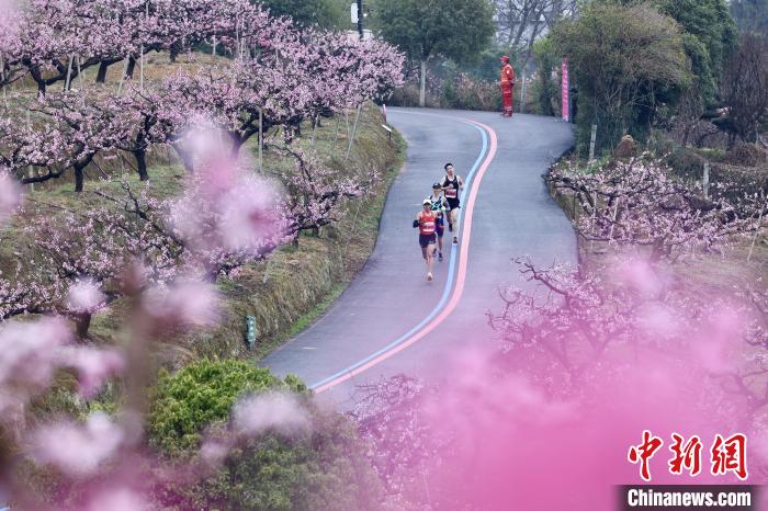 2023奉化海峡两岸桃花马拉松在宁波奉化开跑，全